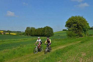 Les bois de Mottereau