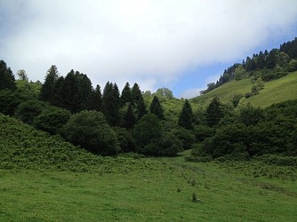 Les cercles de pierres au départ de Bilhères
