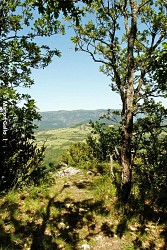 La montagne des Ventes