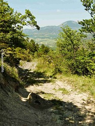 Les collines d'Orcinas