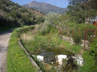 Sentier des Perdreaux