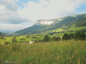 Le hameau de Tourtre