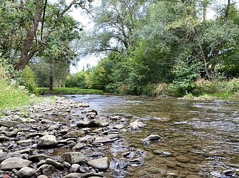 DE SALEICH A SALEICH VIA HIS EN GRAVEL - N°40