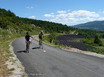 Circuit des 5 cols