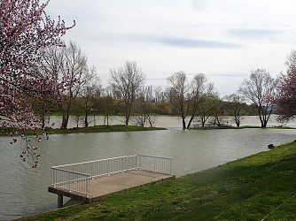 Vernaison / Solaize - L'ile de la Table Ronde