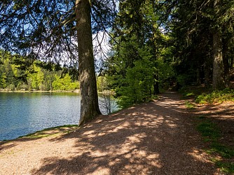 Walk with stoller lac de blanchemer