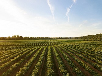 de Pourrières à Pourcieux par le Vignoble à vélo