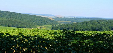 La vallon béni