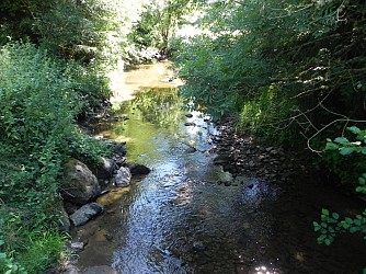 Boucle de la Motte Ternant