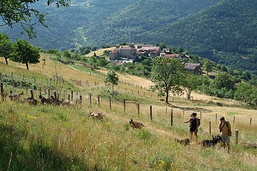 Hike : Towards Monestier