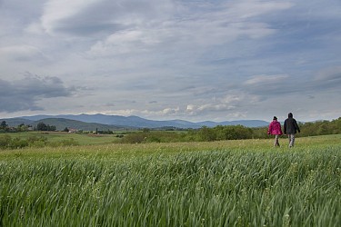 Hike : Bayard castle