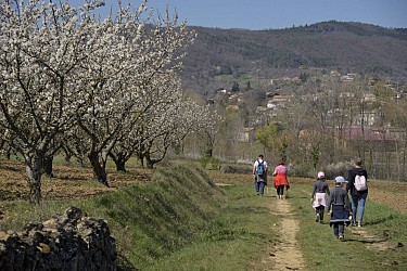 Randonnée : Le Château des Célestins