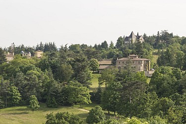 Randonnée : Le Suc des Pins