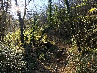 Randonnée : Ruisseau de l'Ecouta