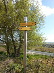 image du circuit