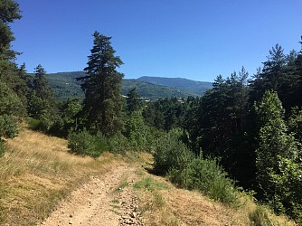 Hike : La Vigneronde
