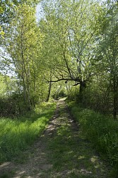 Hike : Bégut Wood