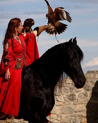 La promenade de l'Hippogriffe