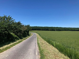 Petite balade dans les bois de Gouise