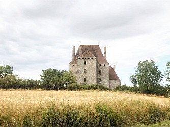 Balade au milieu des vignes et des châteaux