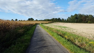 Promenade des chevaux du Haras de Ray