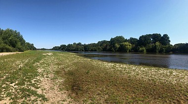 Dans le port de Saint-Léo, y'a des marins qui chantent !