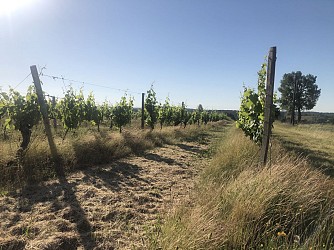 Circuit "La caudalie"