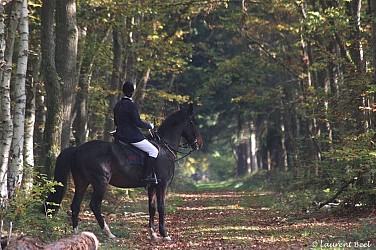Circuit "Les cavaliers de la forêt de Munet"