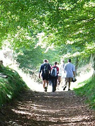 Circuit N° 3 : Le château d'eau "Fleur de Lin"