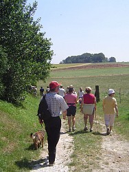 Circuit N° 8 : Le clos des Marnières