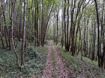 Circuit VTT 2 : Clamecy-Rix-Clamecy