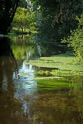 Le val de Conie - n°28