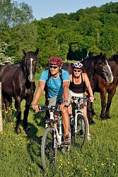 Ozée, les vallons des Noyers - n°16