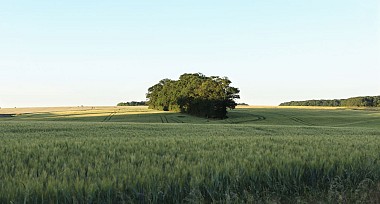 Retour sur la terre - n°25