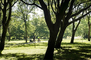 Le parc de Lorient