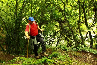 A l'affût de la faune sauvage dans les Gorges de l'Auvézère