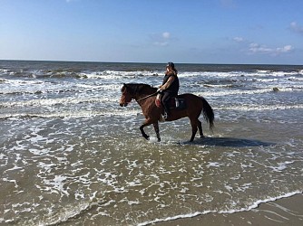 Circuit du Chemin des bergers au départ de la Haie Penée