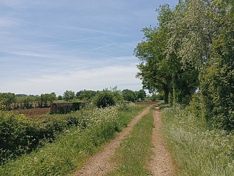 Le circuit des Tuileries - Argentières