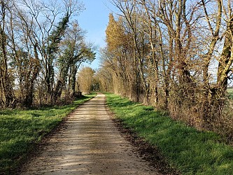 Le Chemin des diligences - Ardilleux