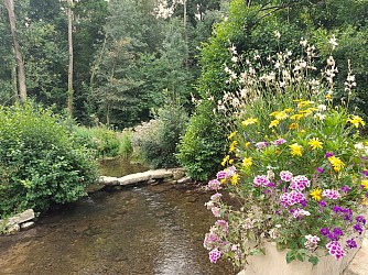 Balade autour des fontaines - Paizay-Le-Tort