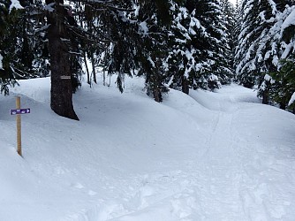 Itinéraire rando hiver Boucle Mont d'Arbois, Pettoreaux