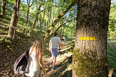 Sentier de Linars