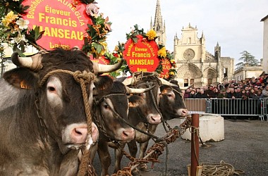 Bazas Médiévale