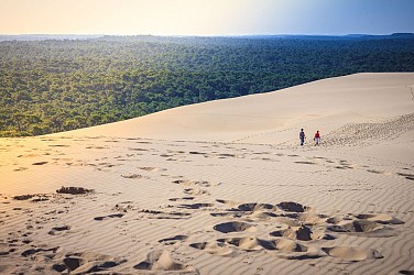 Le Tour du Bassin d'Arcachon à vélo - Du Cap-Ferret à la Dune du Pilat