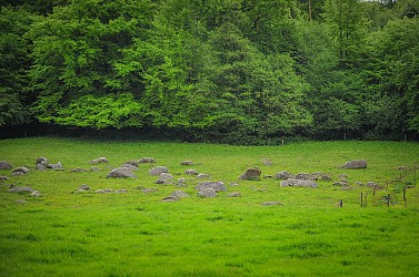 Le bois de l’Ermitage
