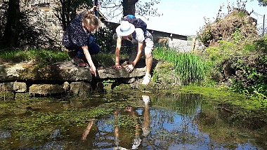 Chemins de fer et de terre