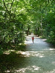 L'Allée Royale (labellisée Tourisme & Handicap)