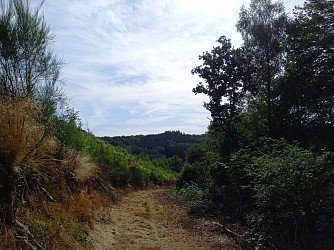 MTB "Promenade de Dohan"