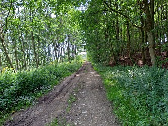 Curfoz family mountain bike circuit: "Circuit VTT familial de Curfoz"