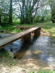 Sentier du pays Moltonais - Mouton
